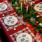 Preview: Paviot Boule de Sapin, weiß mit Wanderer Motiv Druck Weihnachtskugel aus Tannenzweigen, rot-grün, style